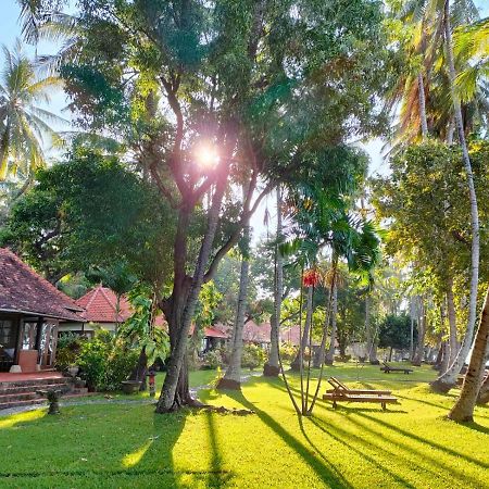 Gaia-Oasis Beach Resort Tejakula Εξωτερικό φωτογραφία